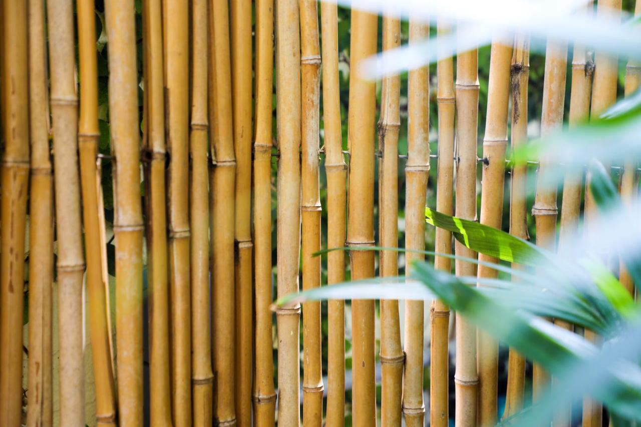 Almond Tree Inn - Adults Only Key West Buitenkant foto